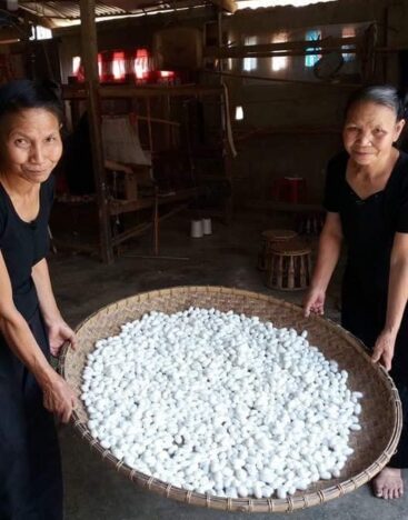 natural off white mulberry silk cocorn