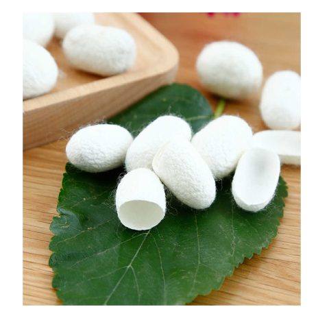 offwhitecocoon