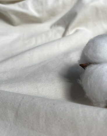 z5600388453755_101bbc43a11931ed670f41a1b1d50282