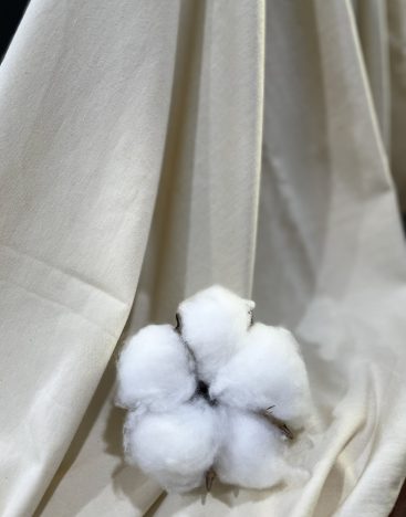 480773882_1176675314468666_7916396919968797168_n